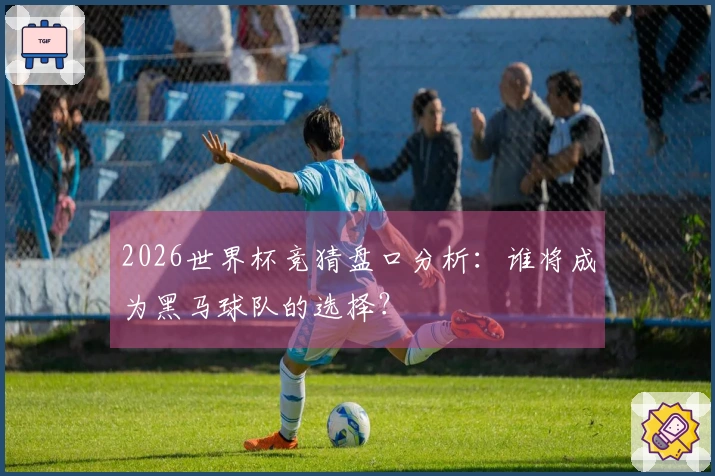 2026世界杯竞猜盘口分析：谁将成为黑马球队的选择？