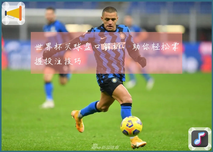 世界杯买球盘口解析，助你轻松掌握投注技巧