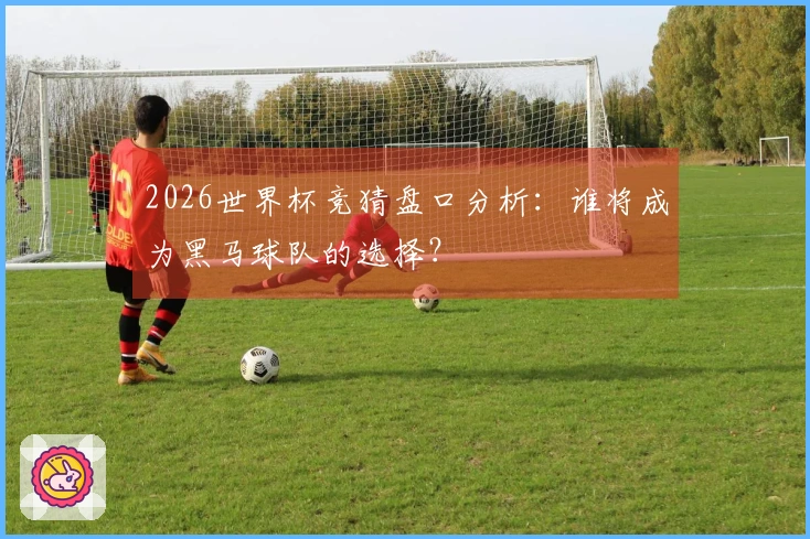 2026世界杯竞猜盘口分析：谁将成为黑马球队的选择？